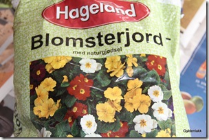 Prikleplanter settes i god blomsterjord Prikleplanter settes i god blomsterjord