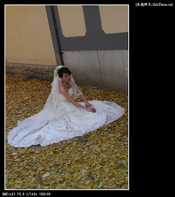 还有美丽的新娘 还有美丽的新娘