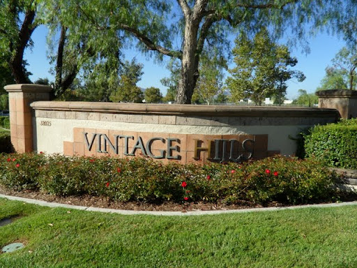 Vintage Hills Homes For Sale
