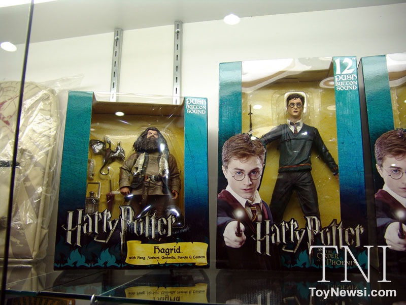 [DSC06732[5].jpg]