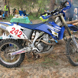 17897475.jpg