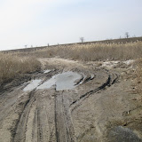 IMG_0136.JPG