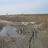 IMG_0137.JPG