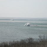 IMG_0153.JPG