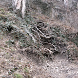 IMG_0261.JPG
