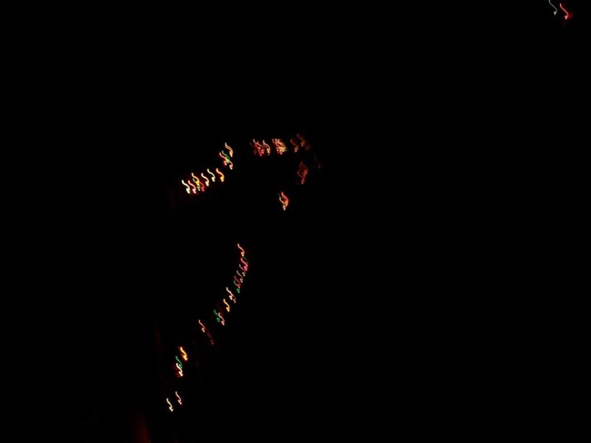 [100_9046com[3].jpg]