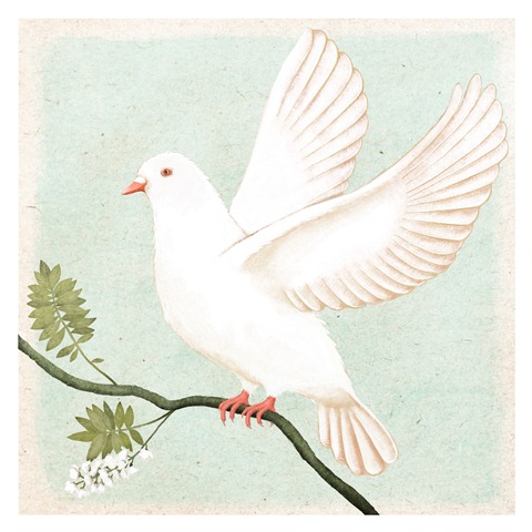 [a white dove[10].jpg]
