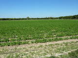 P1010449.JPG
