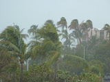 P1050437.JPG