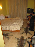 IMG_0408.JPG