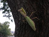PICT0069.JPG