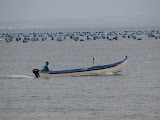 IMG_0927.JPG
