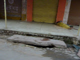 P1000581.JPG