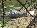IMG_0794.JPG