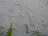 P1000886.JPG