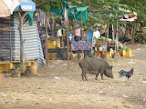 P1020824.JPG