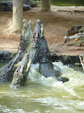 P1000641.JPG