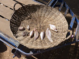 P1030091.JPG