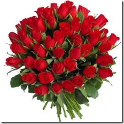 100%20red%20roses