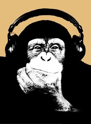 [monkey-headphones[2].jpg]