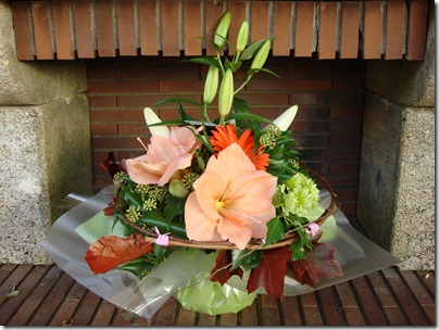 Wolle 015