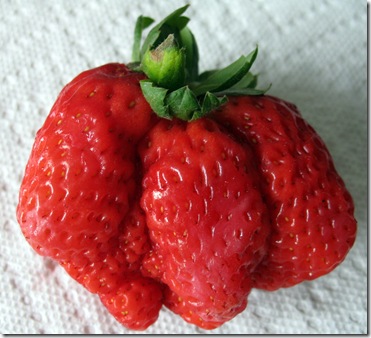 3-18 Monster Strawberry