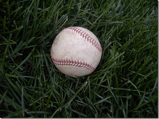 Baseball by Collier Porter Baseball by Collier Porter