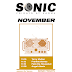 SatN_SONIC_november.gif
