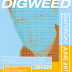 DIGWEED_AVALON_back.gif