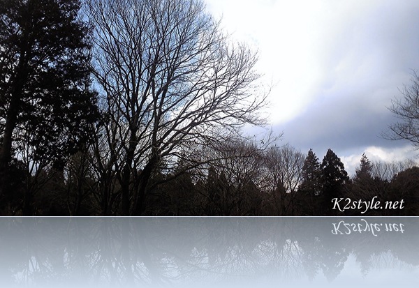 DVC00219