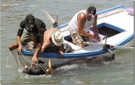 Gokil: Bermain Matador di pinggir laut
