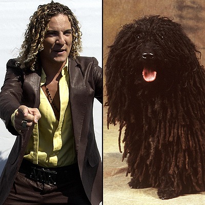 david_bisbal_102708