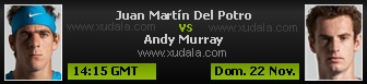 Juan Martin Del Potro vs Andy Murray