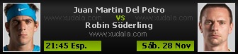Del Potro vs Robin Soderling