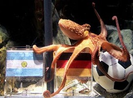 El pulpo del Mundial