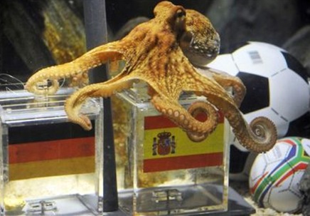 Pulpo adivin&oacute; que ganaba Espa&ntilde;a
