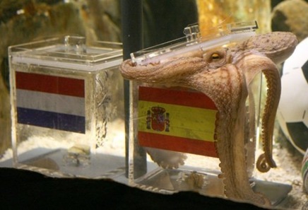 Pulpo predice resultado Espa&ntilde;a vs Holanda
