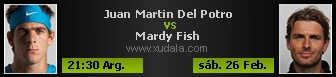 Del Potro vs Mardy Fish