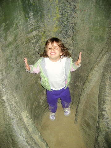 [IMG_54565.jpg]