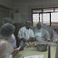 panificacao_PR12.jpg