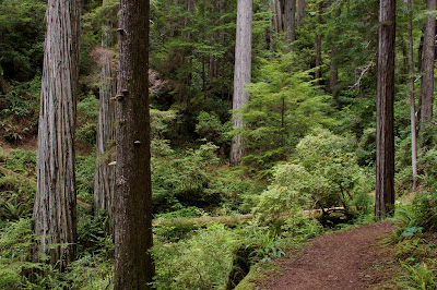 Miners Ridge Trail