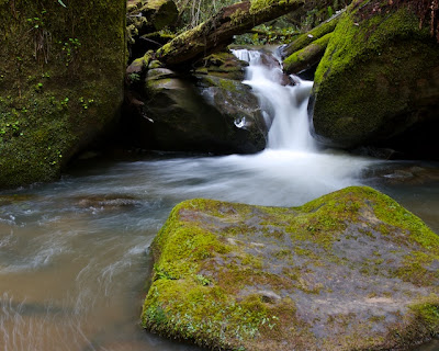 Timms Creek