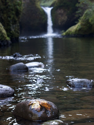 Punchbowl Falls