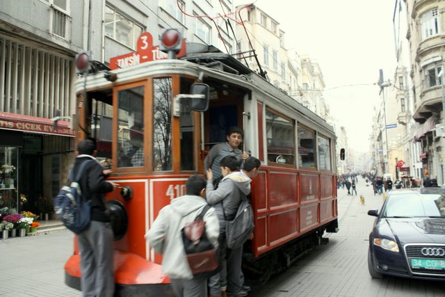 Фото-заметки стамбульского кота