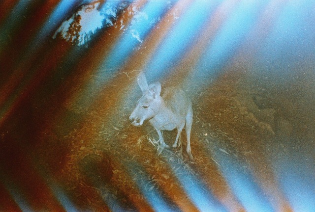 [FH00000623.jpg]