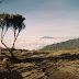 Tanzania 277 - Kilimanjaro.jpg, Tanzania 277 - Kilimanjaro, Tanzania