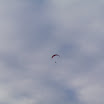 P5160060.JPG