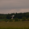 SatMAX-E3169879-100.jpg
