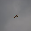 IMGP0360.JPG