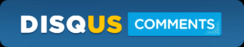 Disqus-Comments